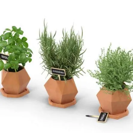 نقص الحديد: عناصر نباتية غنية جداً أدخليها إلى نظامك الغذائي