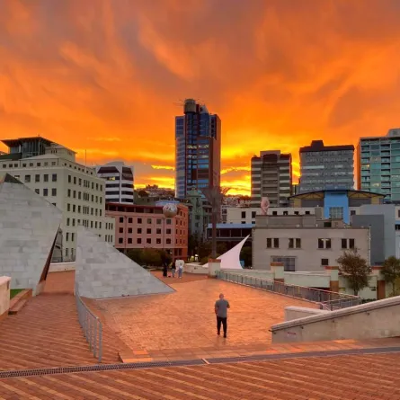 أجمل الأماكن السياحية في ويلينغتون عاصمة نيوزيلندا