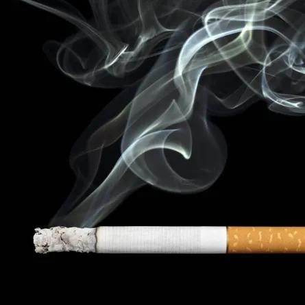 دخان السيجارة