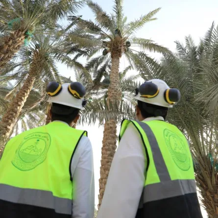 برنامج تطوير مهندسي الدرعية