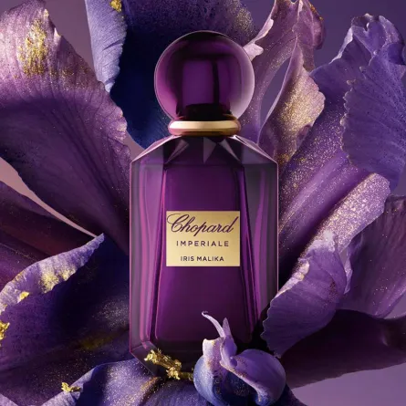 آخر إصدارات العطور Latest Releases Perfume