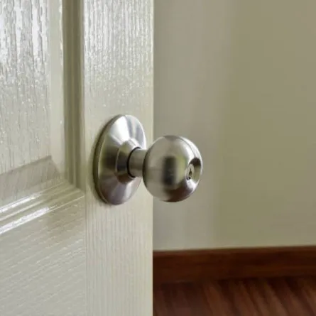 فريق بحث ياباني يفوز بجائزة إيغ نوبل للحماقة العلمية