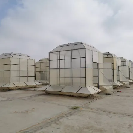  استخدام مياه الصرف الصحي المعالجة يحسن من معدلات نمو وإنتاج القمح. الصورة من "وام"