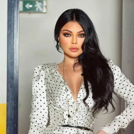 هيفاء وهبي -الصورة من صفحتها على الفيس بوك