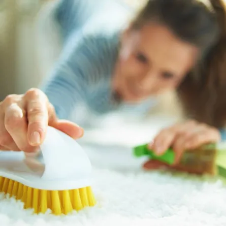  تنظيف السجاد  