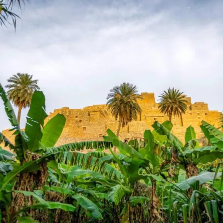 قرى الباحة تحكي مشوار إنجازات المملكة على مدار 92 عاما - الصورة من واس