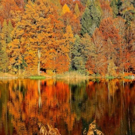 الاعتدال الخريفي يحدث في شهر سبتمبر في نصف الكرة الأرضية الشمالي