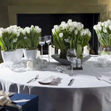 أزهار "التوليب" توزّع في قاعة مقفلة