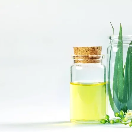 زيت الأوكالبتوس 