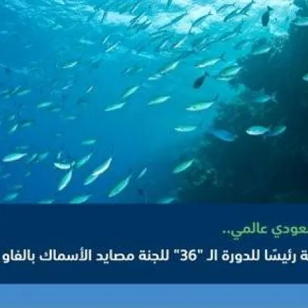 منجز سعودي عالمي جديد