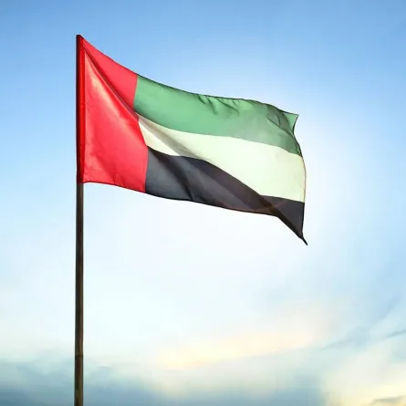 الإمارات تتصدر الشرق الأوسط وشمال إفريقيا في مؤشر "تطور الحكومة الرقمية"