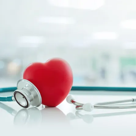 في اليوم العالمي للقلب.. هذه هي باختصار طرق حماية القلب