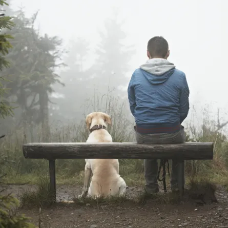 ميزة جديدة لصديق الإنسان الوفي.. الكلاب تشعر بقلق صاحبها