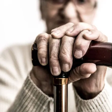 اليوم العالمي للمسنين