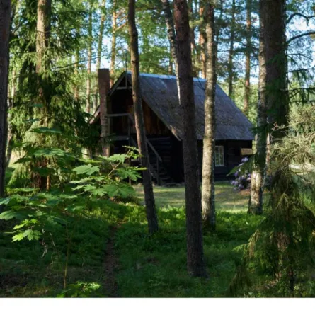 أناكوندا يبتلع أكبر خفاش في العالم 