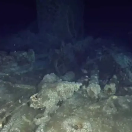 اكتشاف حطام سفينة ألمانية فقدت خلال الحرب العالمية الأولى قبالة سواحل فيرجينيا