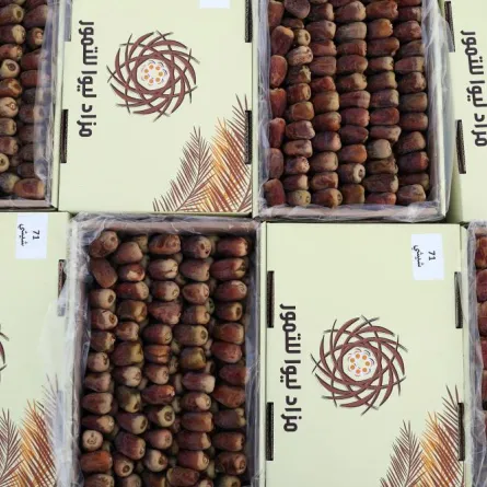 انطلاق الدورة الأولى من مهرجان ومزاد ليوا للتمور 15 أكتوبر. الصورة من "وام"