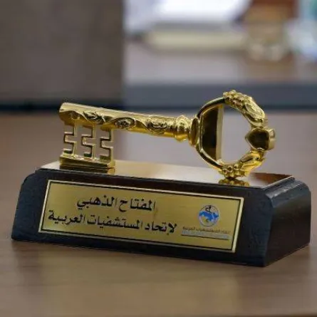 جائزة المفتاح الذهبي. الصورة من "وام"