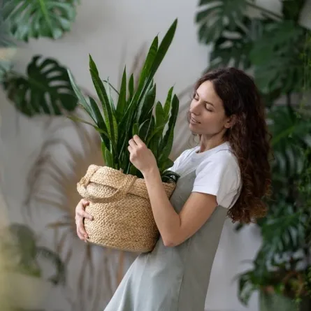 امرأة تحمل شتلة خضراء