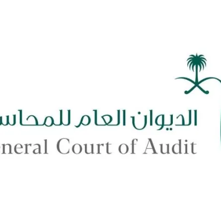 الديوان العام للمحاسبة