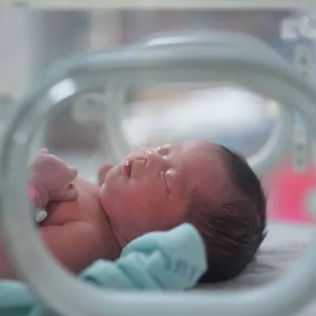 صورة لحديث الولادة في الحضانة الطبيعية