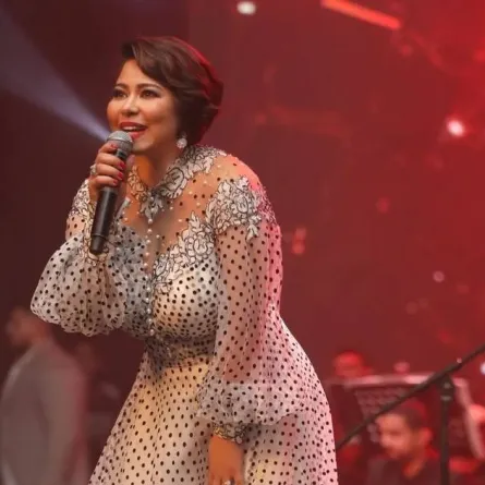 شيرين عبد الوهاب - صورة من صفحتها الرسمية على انستغرام