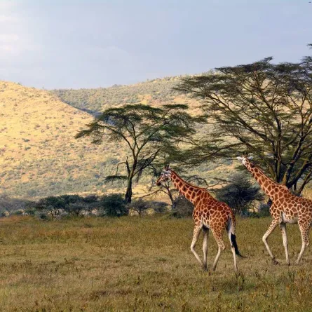  نصائح عند السفر قبل زيارة ناميبيا