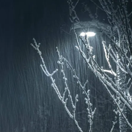 المطر الغزير