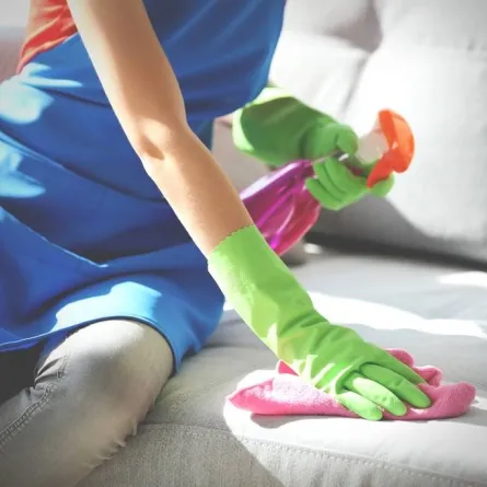 تنظيف الأريكة