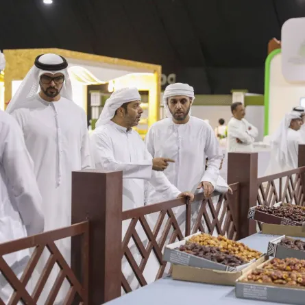 انطلاق مهرجان ليوا للتمور. الصورة من "وام"