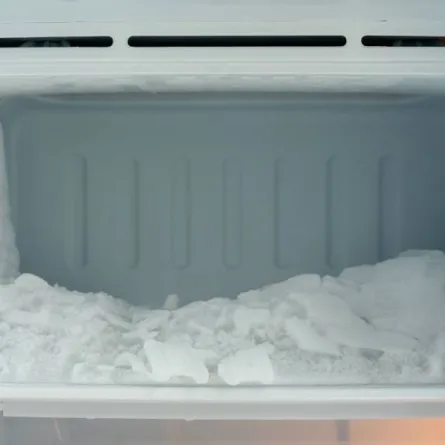 إذابة المجمدة