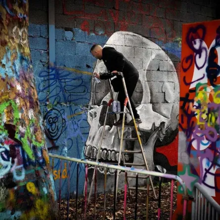 مهرجان ليو لفن الشارع بفرنسا احتفالاً بالفن الحضري  