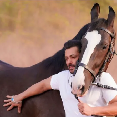 سلمان خان - الصورة من حسابه في إنستغرام