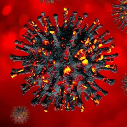 فيروس كورونا