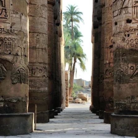 الفرق بين الحضارة والتاريخ