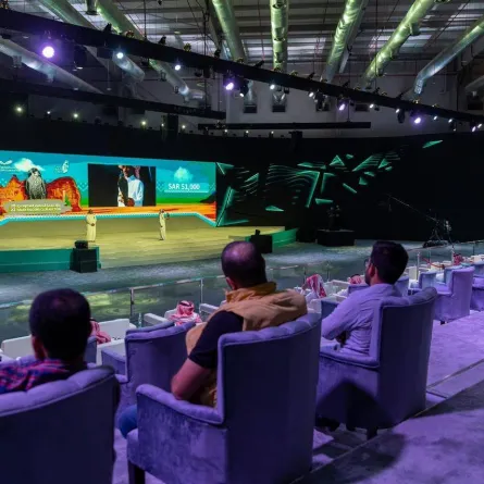 مزاد نادي الصقور