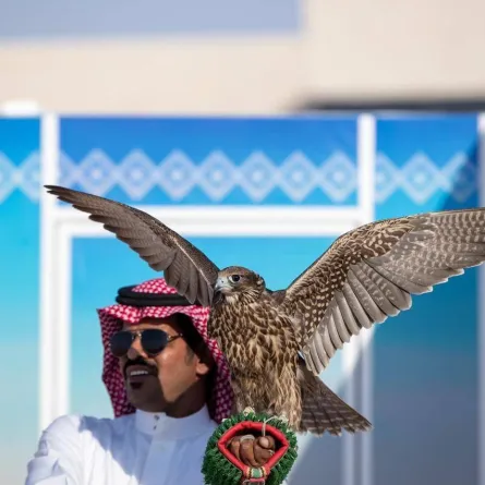 نادي الصقور