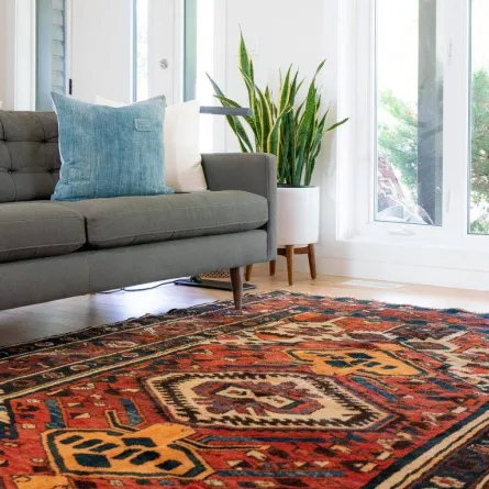 العناية بالسجادة الصوف