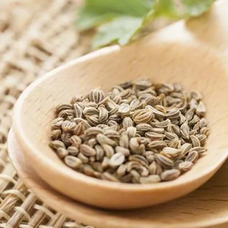 فوائد بذور البقدونس