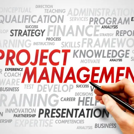 إدارة المشاريع هي مجال من المجالات الإداريّة النامية 