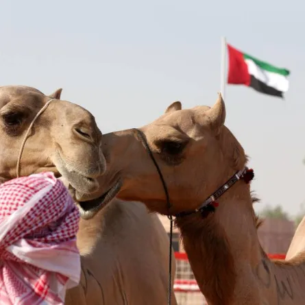 مهرجان الظفرة ينطلق في مدينة سويحان - الصورة من وام