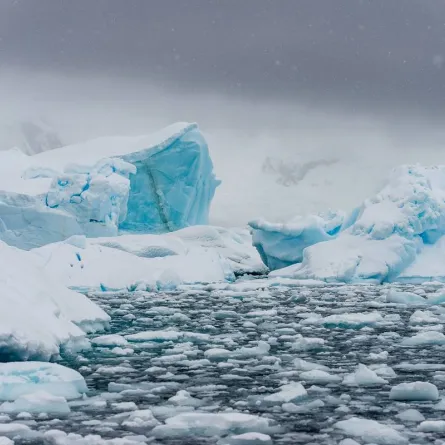 صورة لذوبان الجليد في القارة القطبية الجنوبية