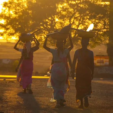 اليوم الدولي للمرأة الريفية 