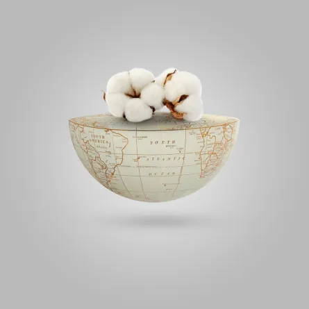 الاحتفالية الأممية الثانية بالقطن