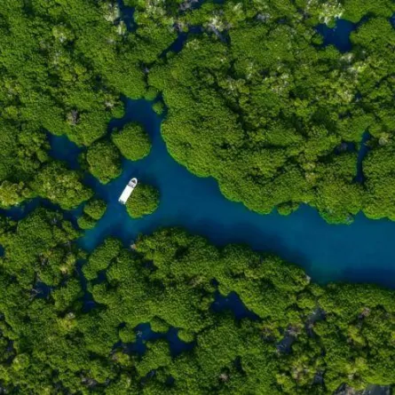 جامعة جازان تحتفي بانضمام جزر فرسان لبرنامج الإنسان والمحيط الحيوي