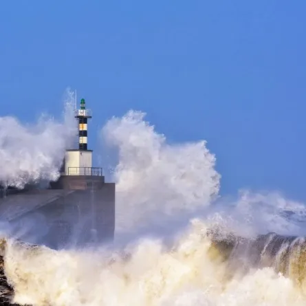 اليوم العالمي للتوعية بأمواج تسونامي