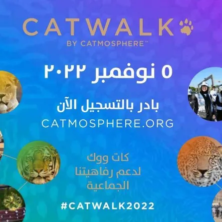 استعدادات كبيرة لانطلاق مسيرة كات ووك العالمية تحت شعار "دعم رفاهيتنا الجماعية"