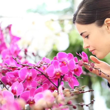 صورة تعبيرية عن ارتفاع خصوبة النساء