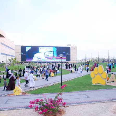 أجواء كات ووك -تصوير سعد الدوسري