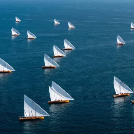 بحارة سباق "دلما التاريخي الخامس" يبحثون عن لؤلؤة المجد .الصورة من "وام"